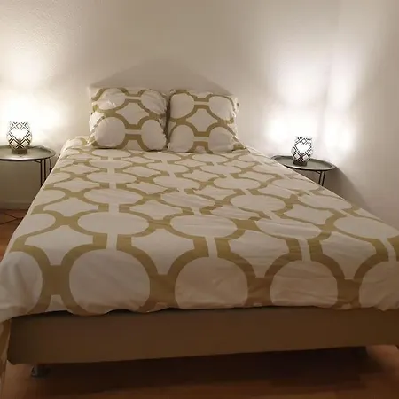 Beau Triplex Ideal Pour Groupe Apartment *